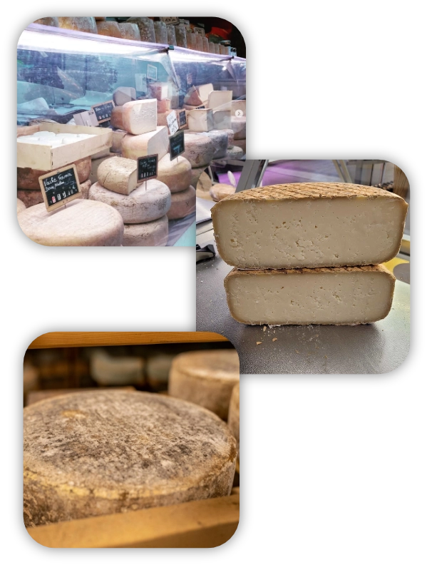 fromages de la fromagerie Nebout